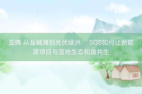 亚搏 从盐碱滩到光伏绿洲： SGS如何让新能源项目与湿地生态和谐共生