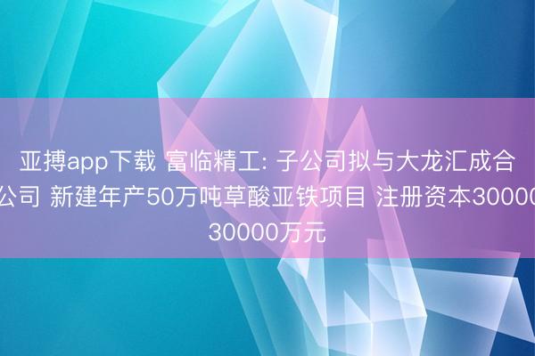 亚搏app下载 富临精工: 子公司拟与大龙汇成合资设公司 新建年产50万吨草酸亚铁项目 注册资本30000万元