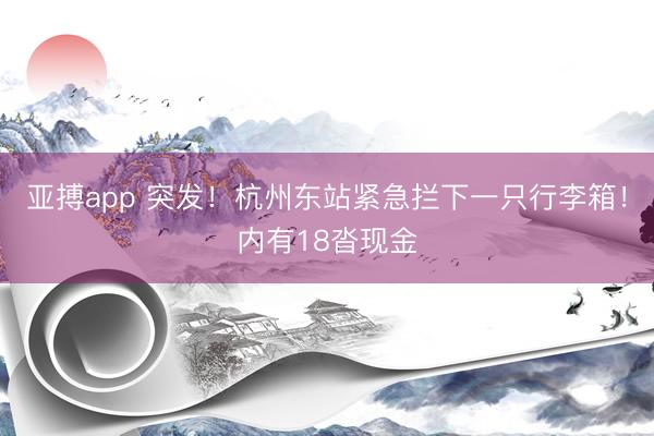 亚搏app 突发！杭州东站紧急拦下一只行李箱！内有18沓现金