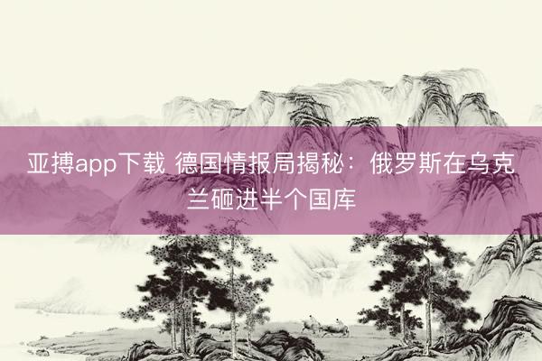 亚搏app下载 德国情报局揭秘：俄罗斯在乌克兰砸进半个国库