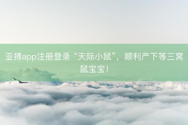 亚搏app注册登录 “天际小鼠”,顺利产下等三窝鼠宝宝!