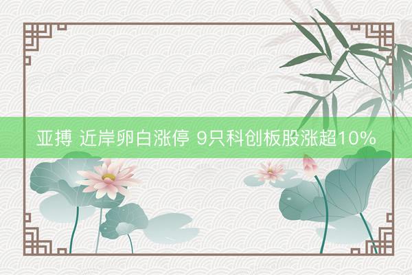 亚搏 近岸卵白涨停 9只科创板股涨超10%