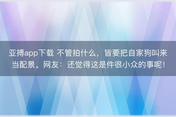 亚搏app下载 不管拍什么，皆要把自家狗叫来当配景。网友：还觉得这是件很小众的事呢！