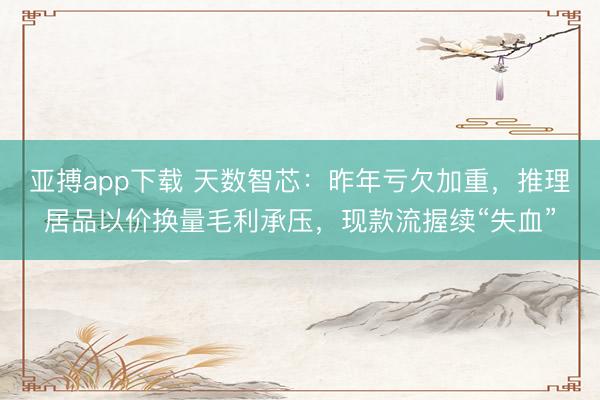 亚搏app下载 天数智芯:昨年亏欠加重,推理居品以价换量毛利承压,现款流握续“失血”