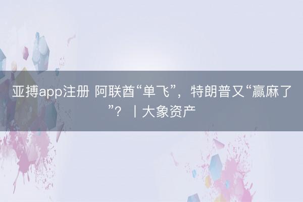 亚搏app注册 阿联酋“单飞”，特朗普又“赢麻了”？丨大象资产