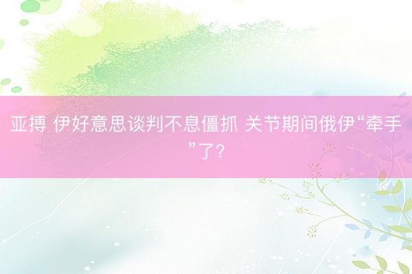 亚搏 伊好意思谈判不息僵抓 关节期间俄伊“牵手”了？
