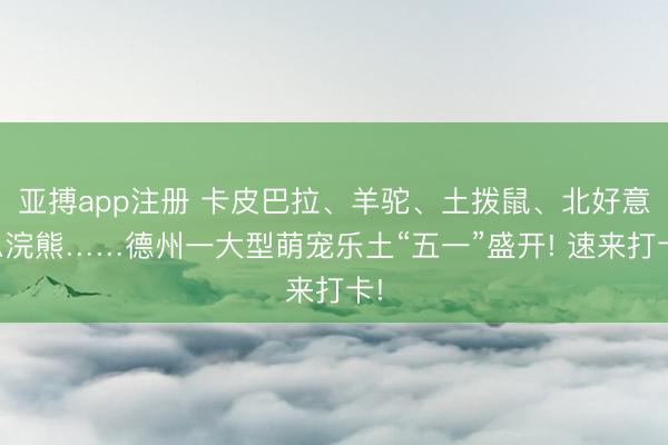 亚搏app注册 卡皮巴拉、羊驼、土拨鼠、北好意思浣熊……德州一大型萌宠乐土“五一”盛开! 速来打卡!